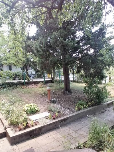 Материална база - Център за подкрепа за личностно развитие - Детски комплекс - Белово